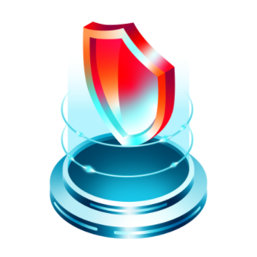 Website Security Assessment